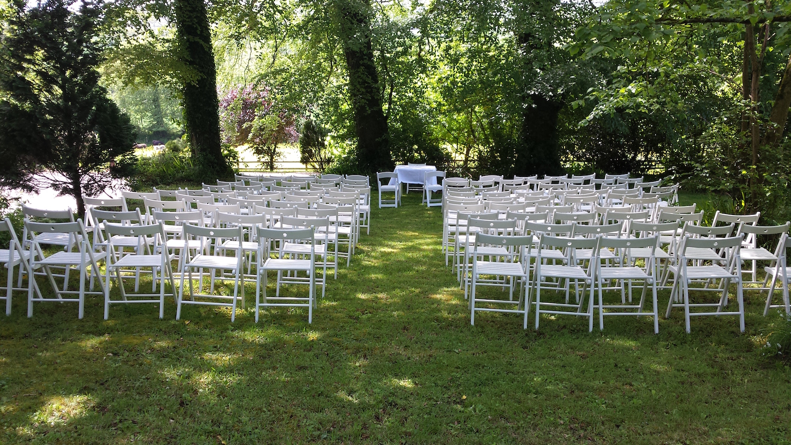 Weddings